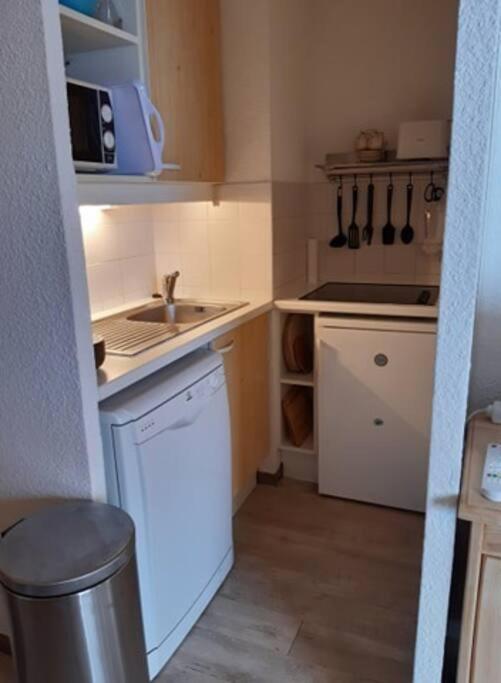 Spacieux Appartement 37M2-T3-Rdc-6 Personnes-100M Remontees Вальменьє Екстер'єр фото